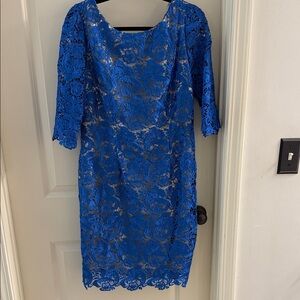 Eliza J Royal Blue Lace Midi Dress
